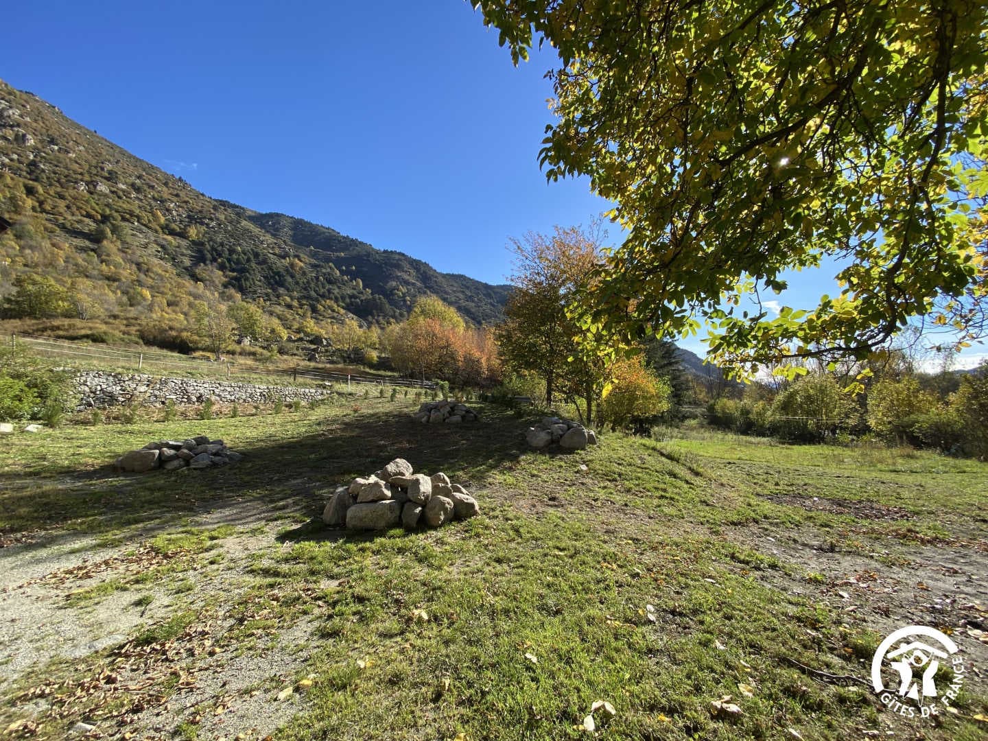 Campcardos_29