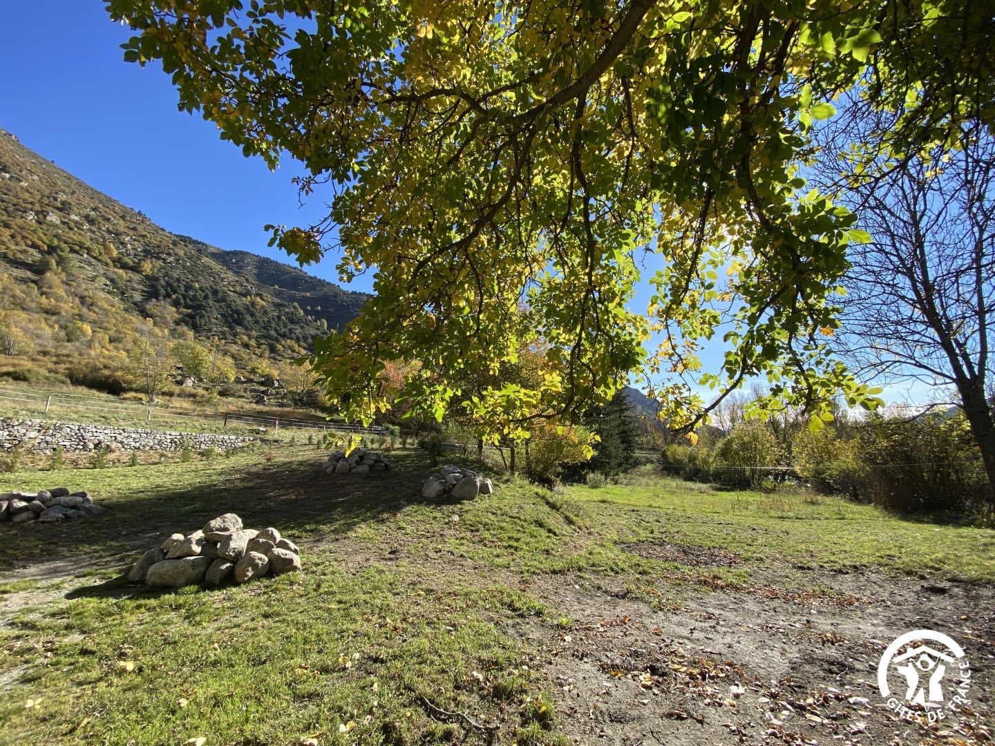 Campcardos_28