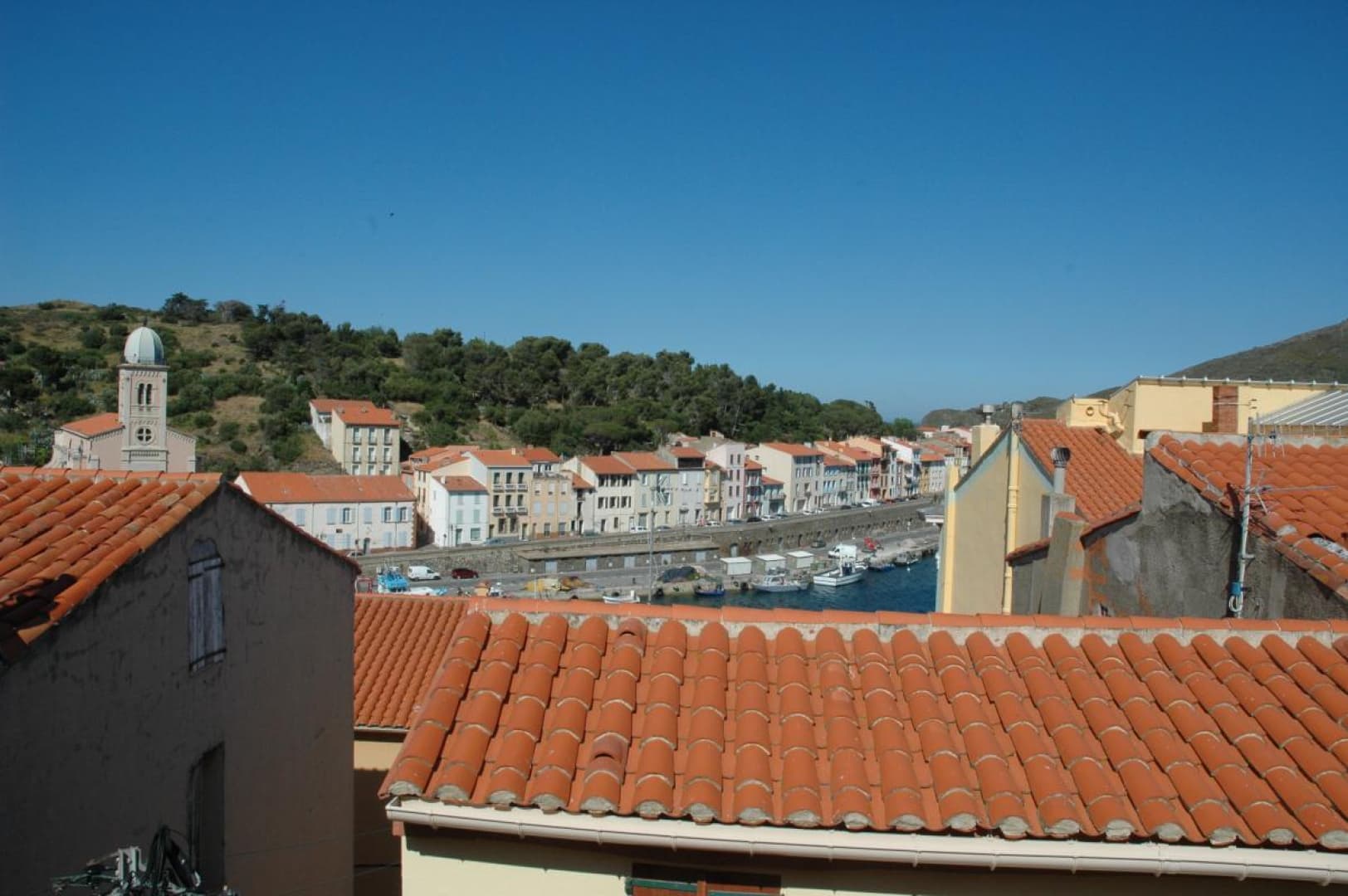 La Massane_15