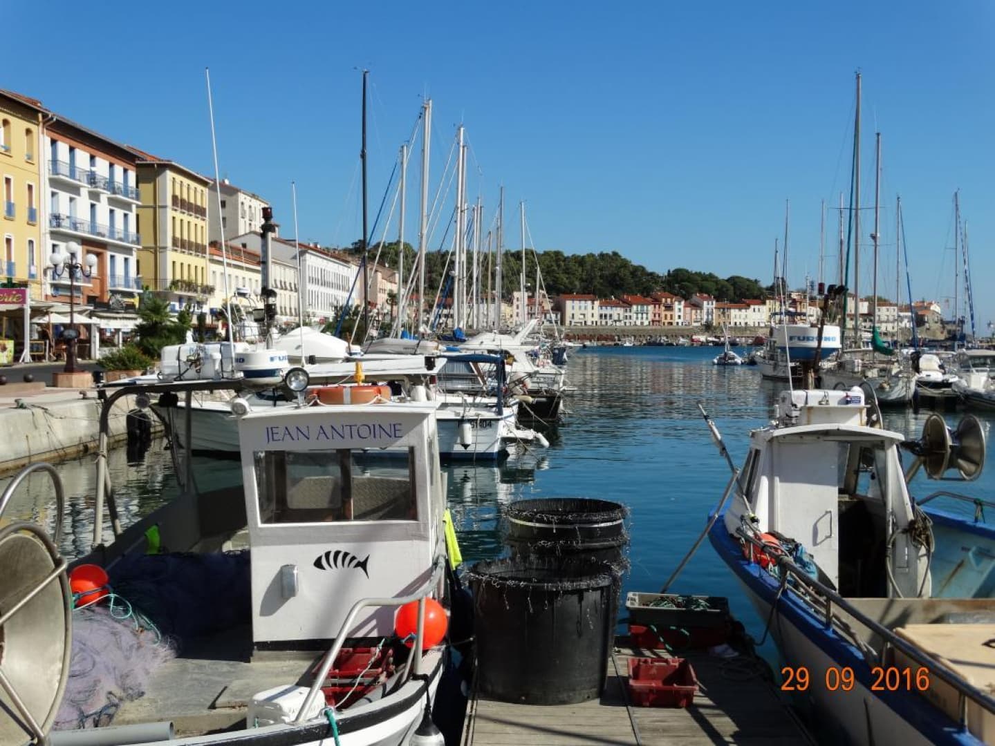 La Massane_17