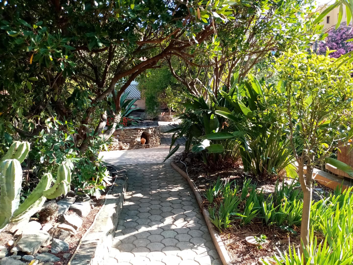 La Villa Andréanne- Gîte Vinya_27