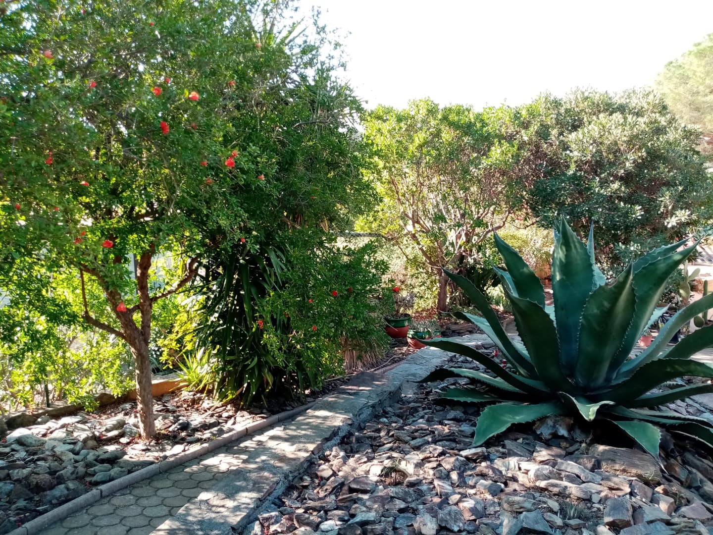 La Villa Andréanne- Gîte Vinya_28