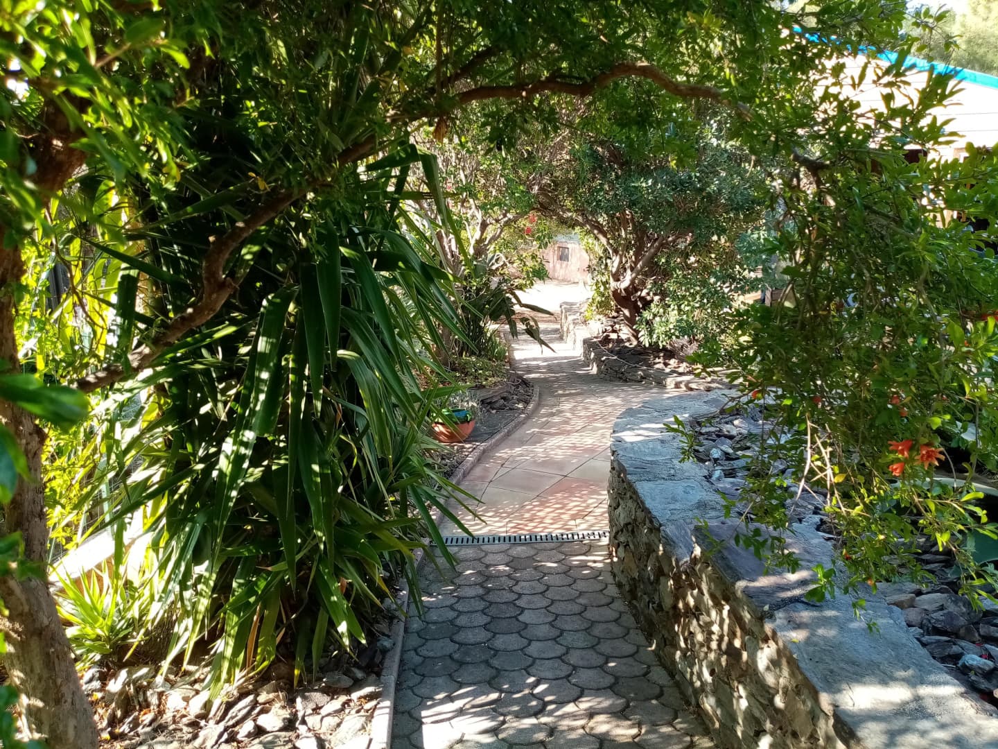 La Villa Andréanne- Gîte Vinya_20