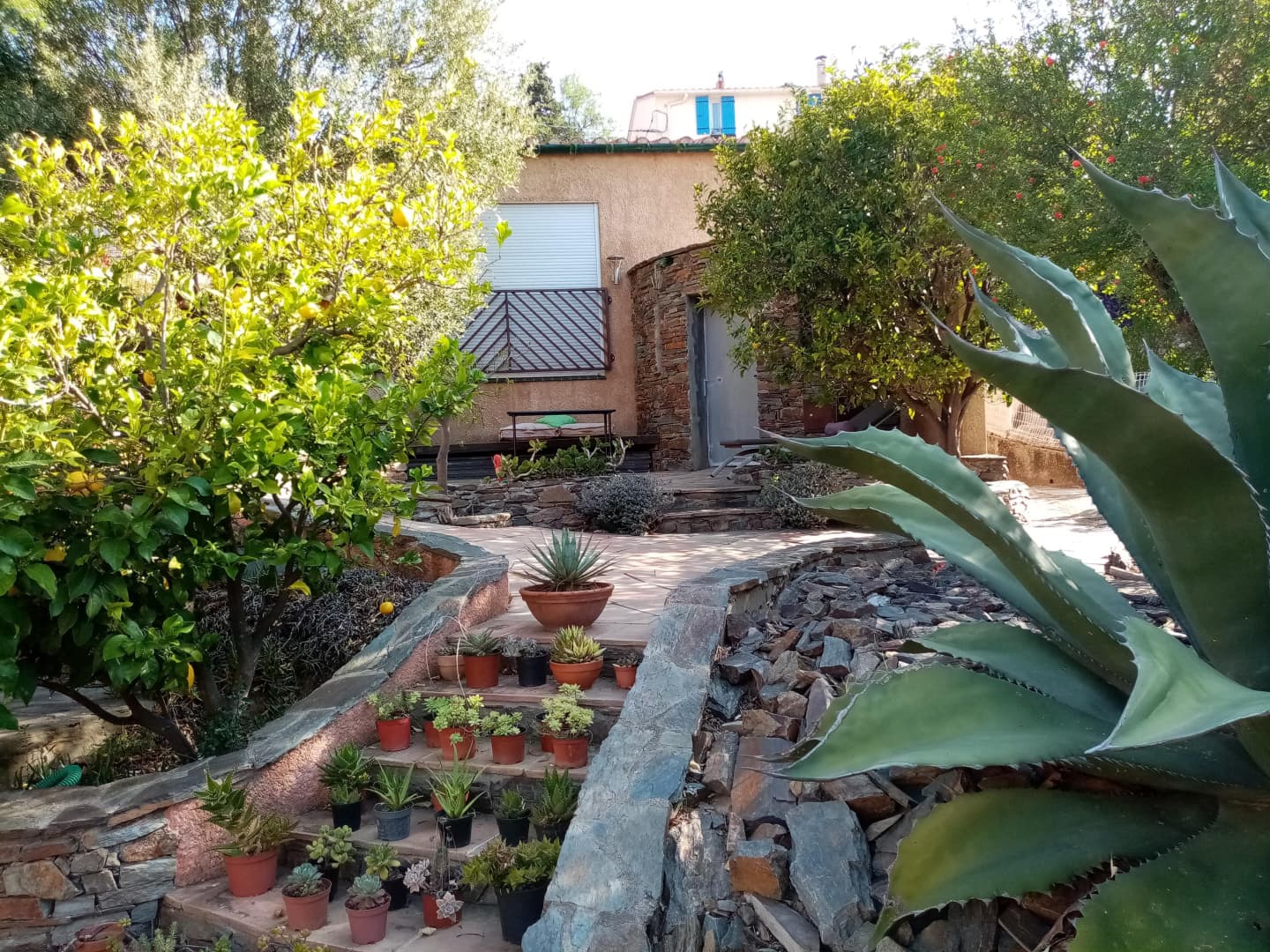 La Villa Andréanne- Gîte Vinya_14