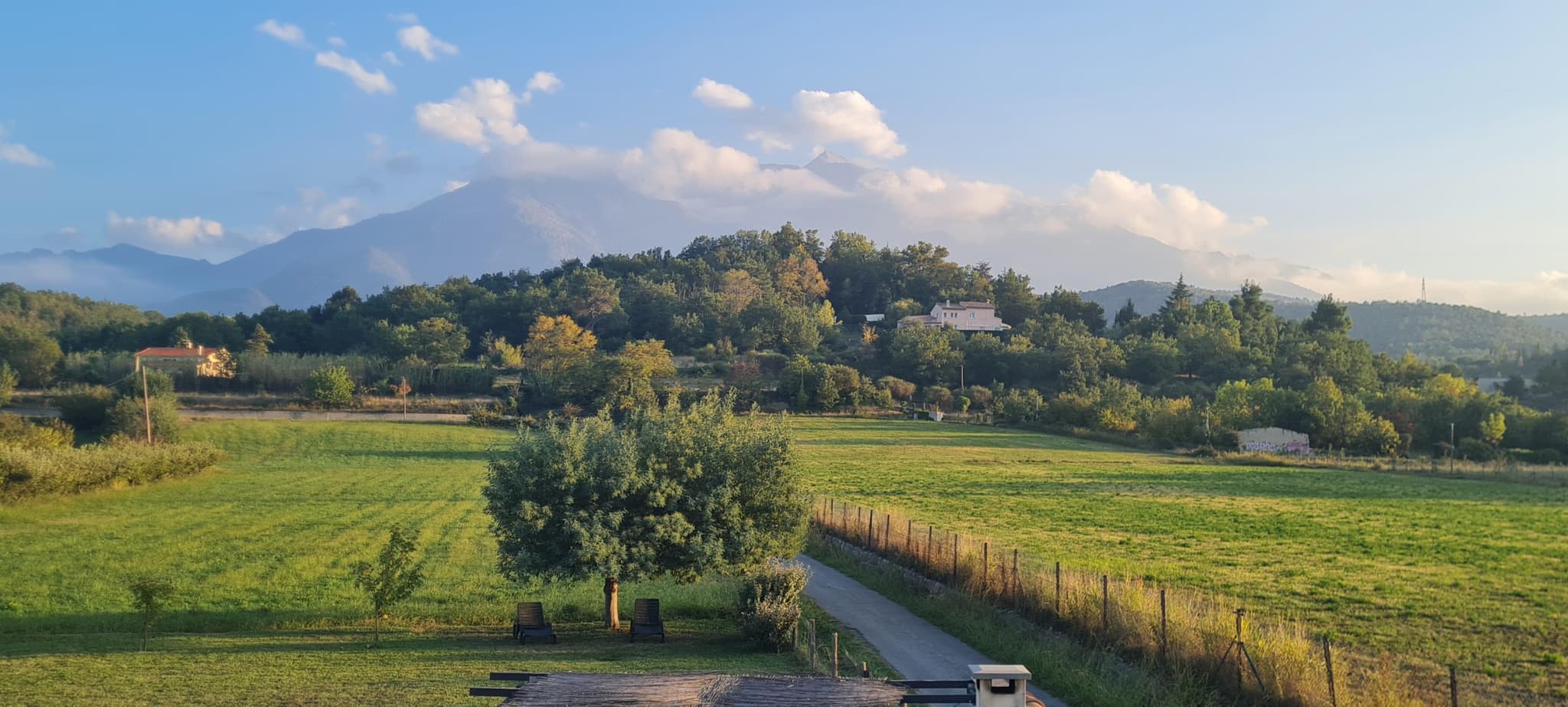 Ca la mimi_7