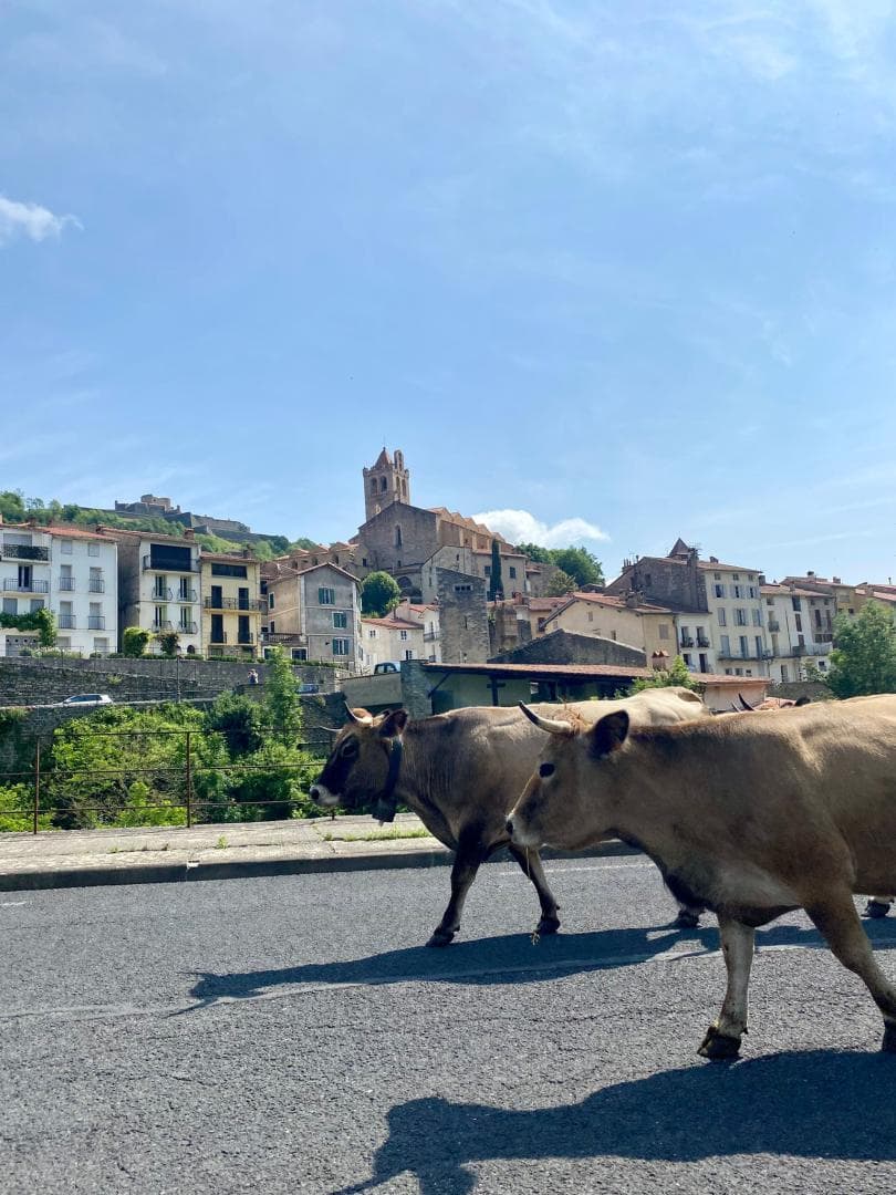 Casa d'Amunt_41