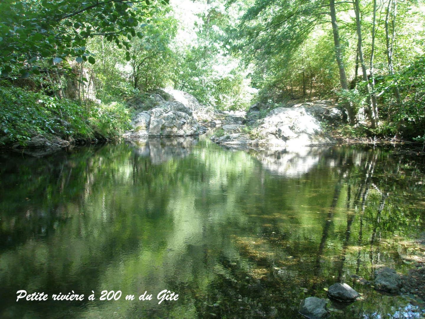 La pallere_16