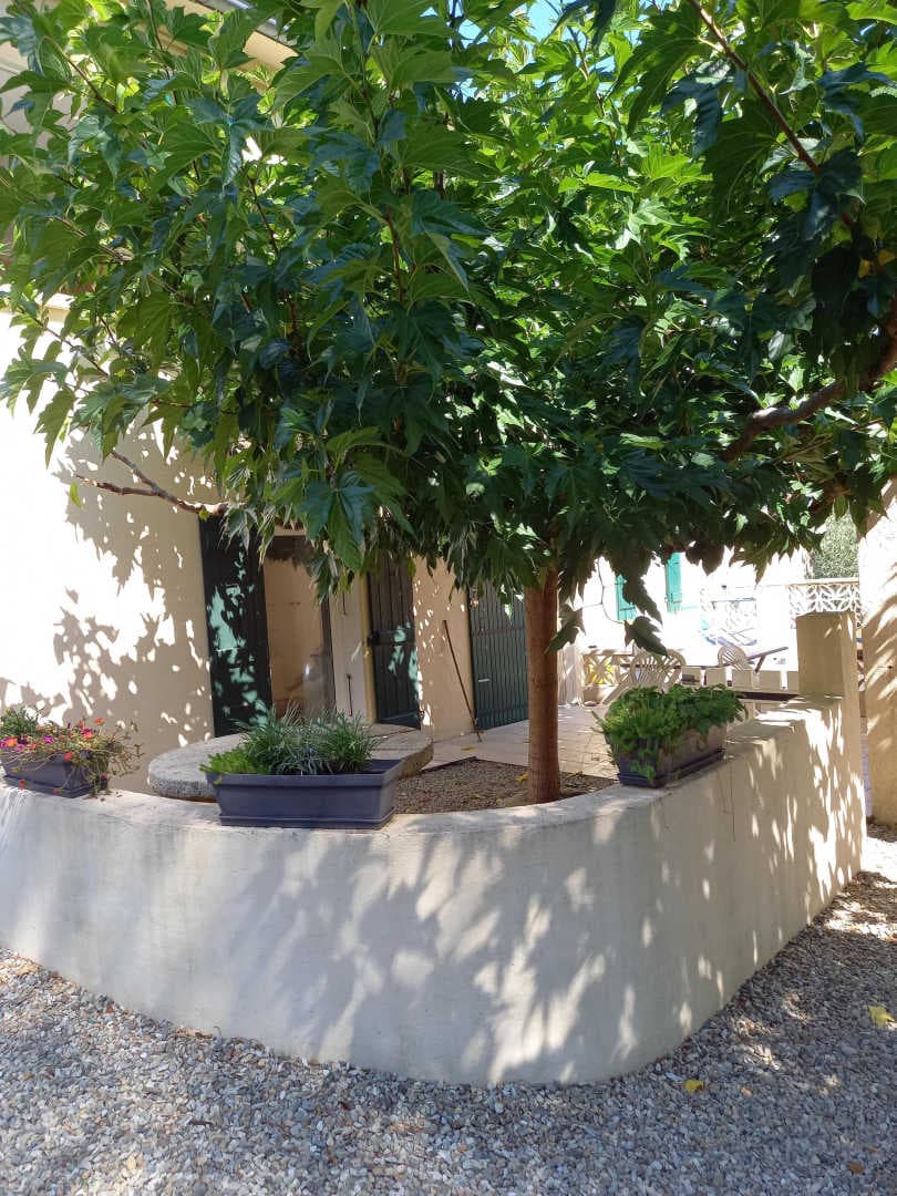 Casa pallari_10