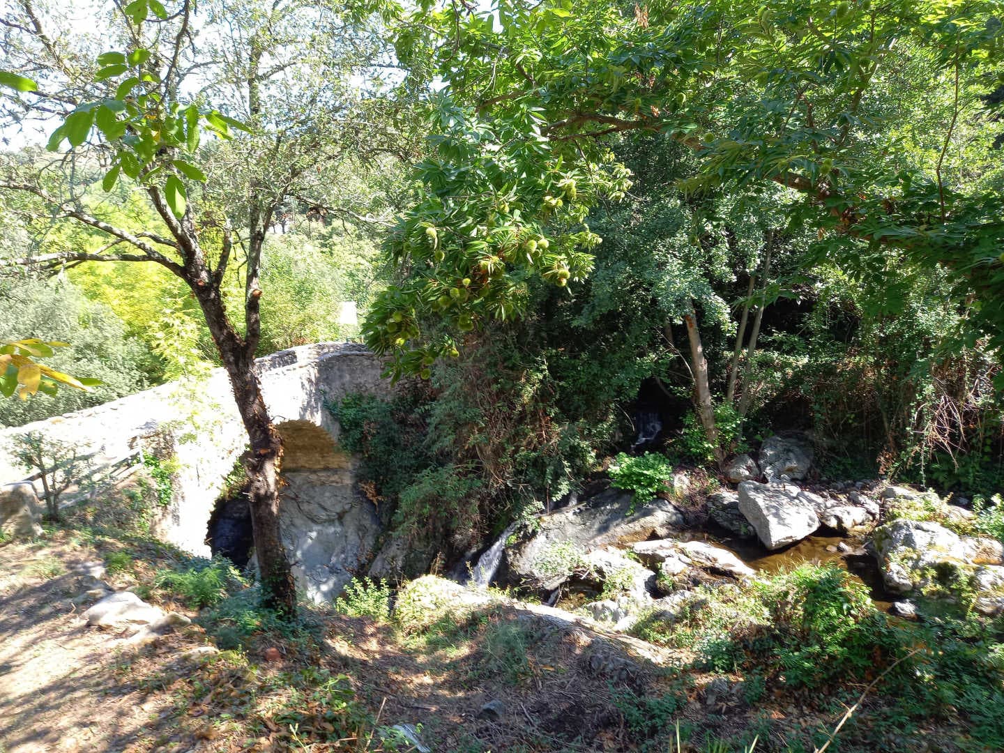 Casa pallari_11