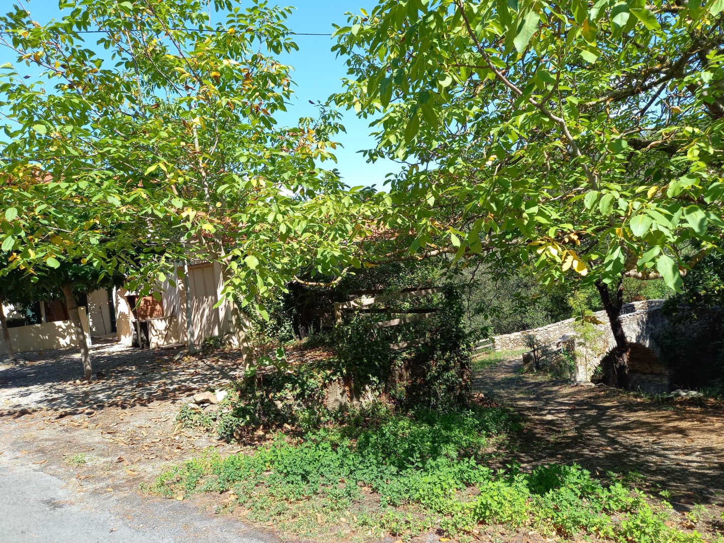 Casa pallari_7