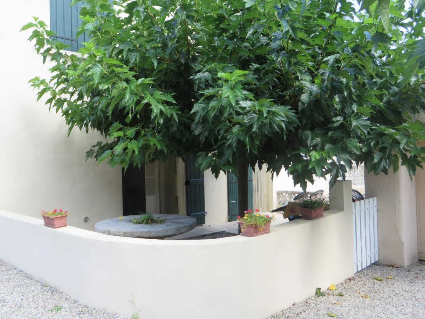 Casa pallari_2