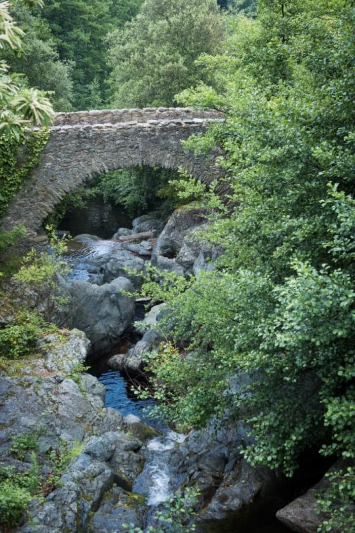 Le Moulin_20