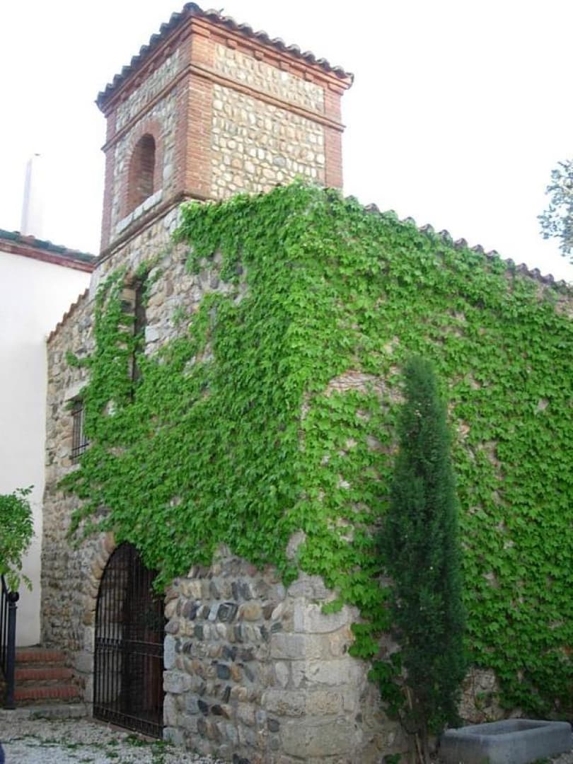 Mas Saint Martin_11