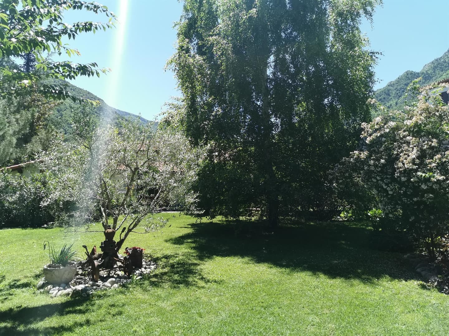 Les lauriers_22