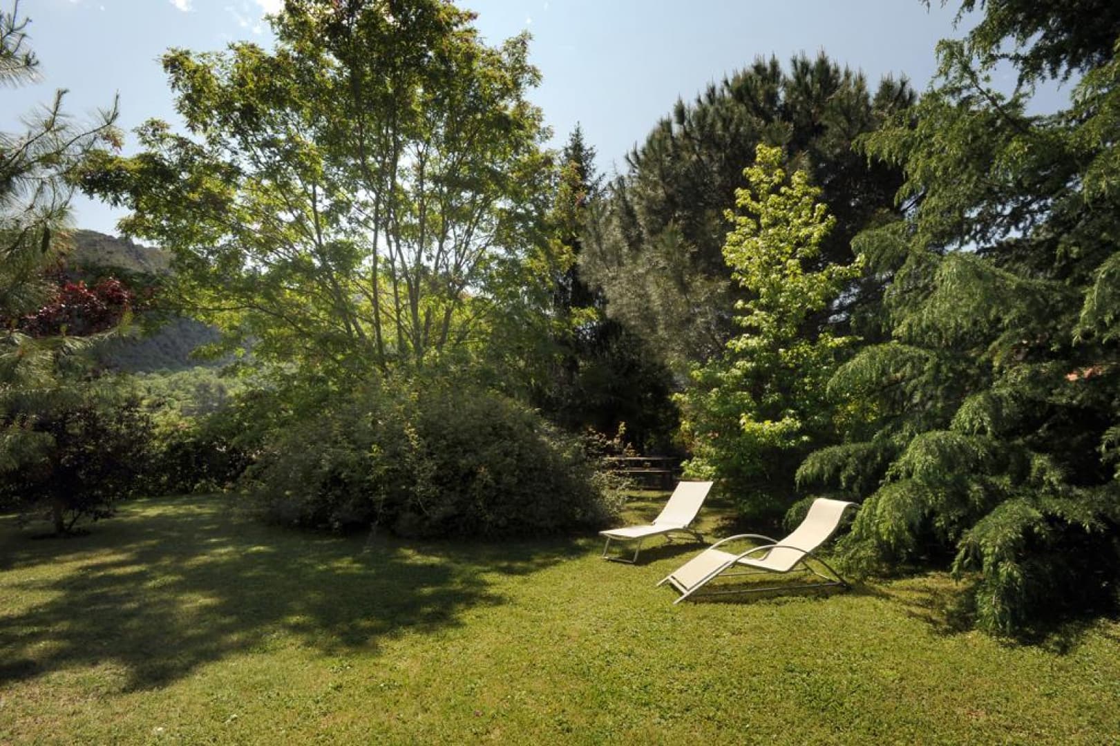Les lauriers_31