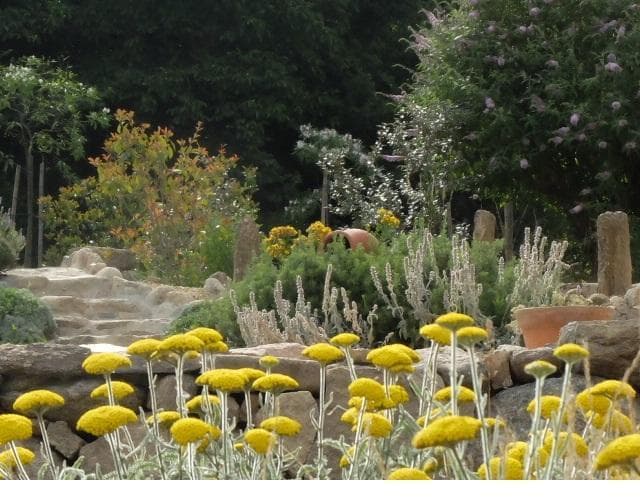 Le chant des oiseaux_15