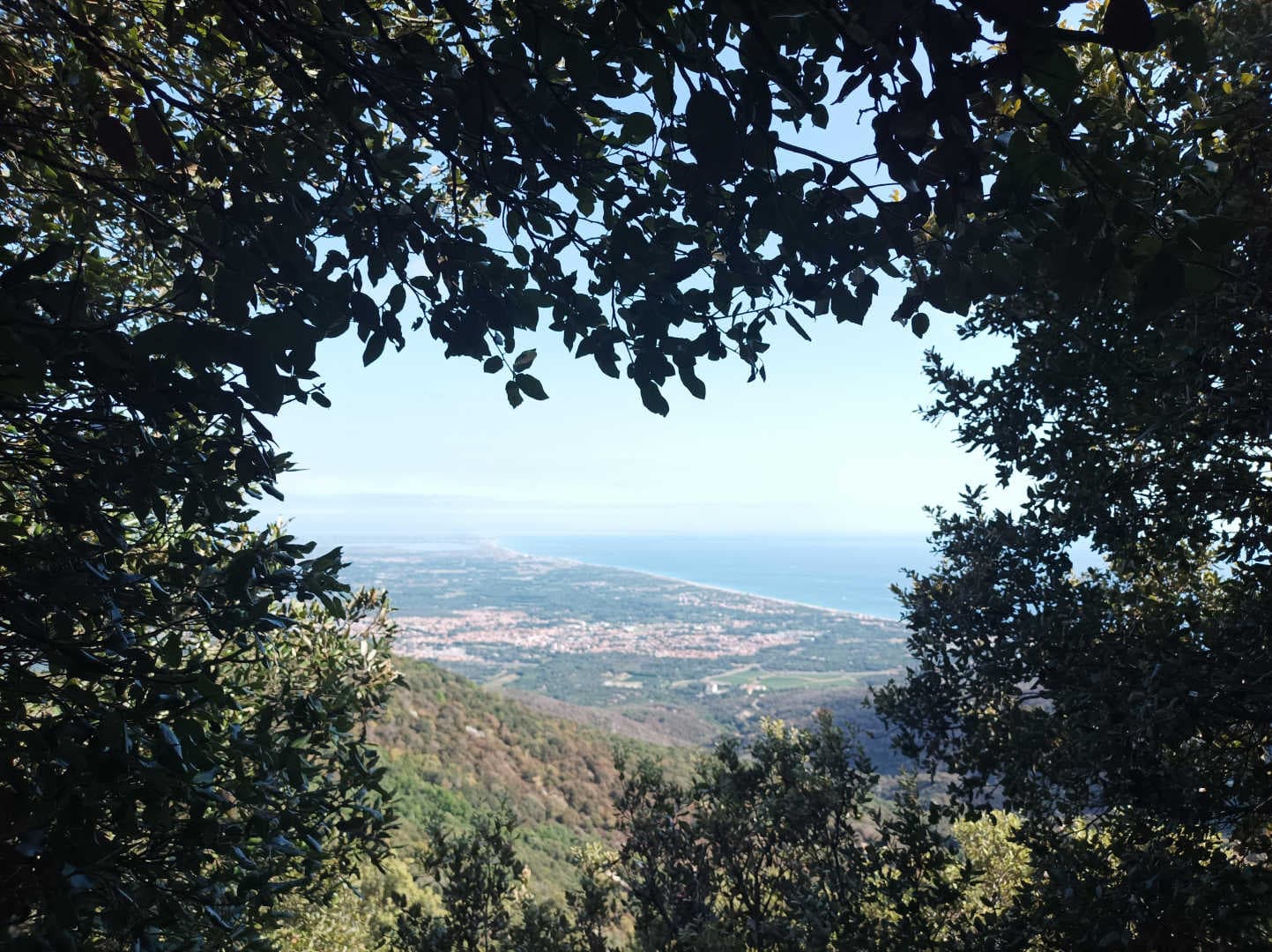 Albères_22
