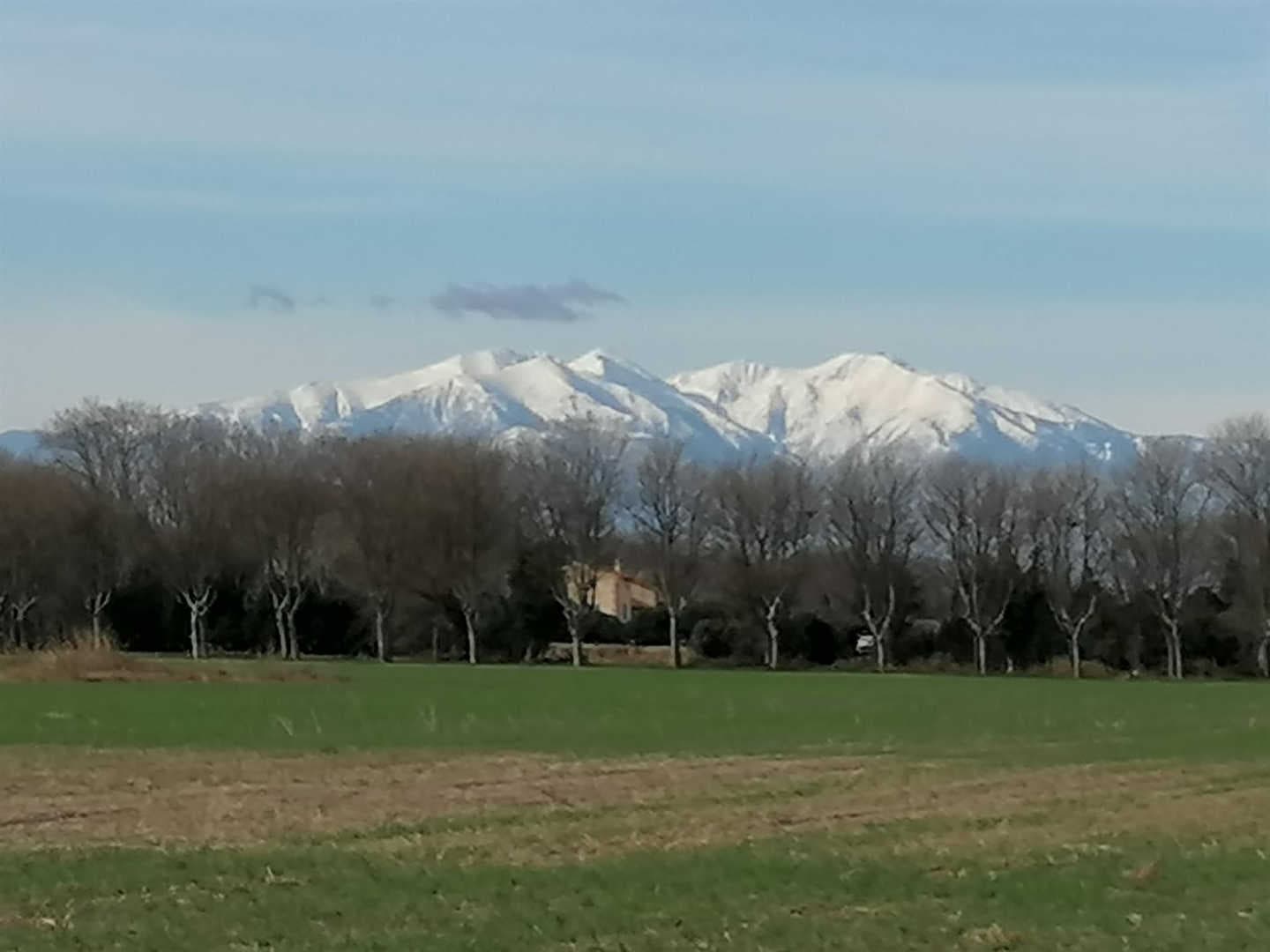 Madeloc_16