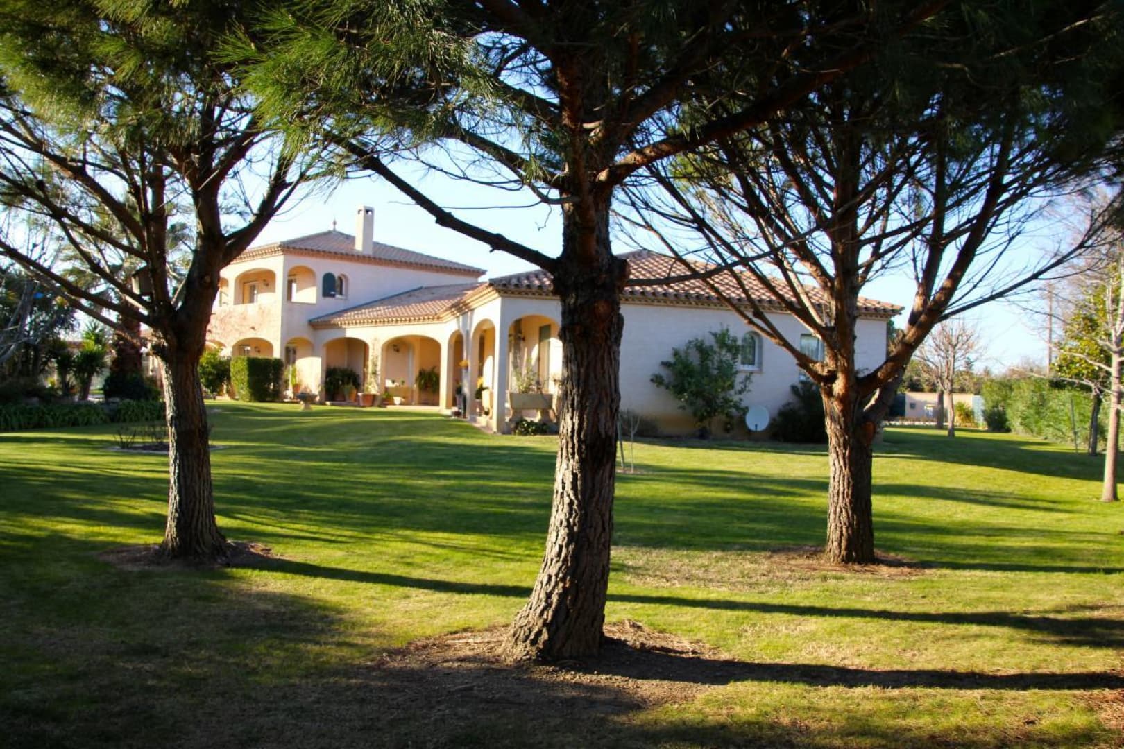 Les melias_4