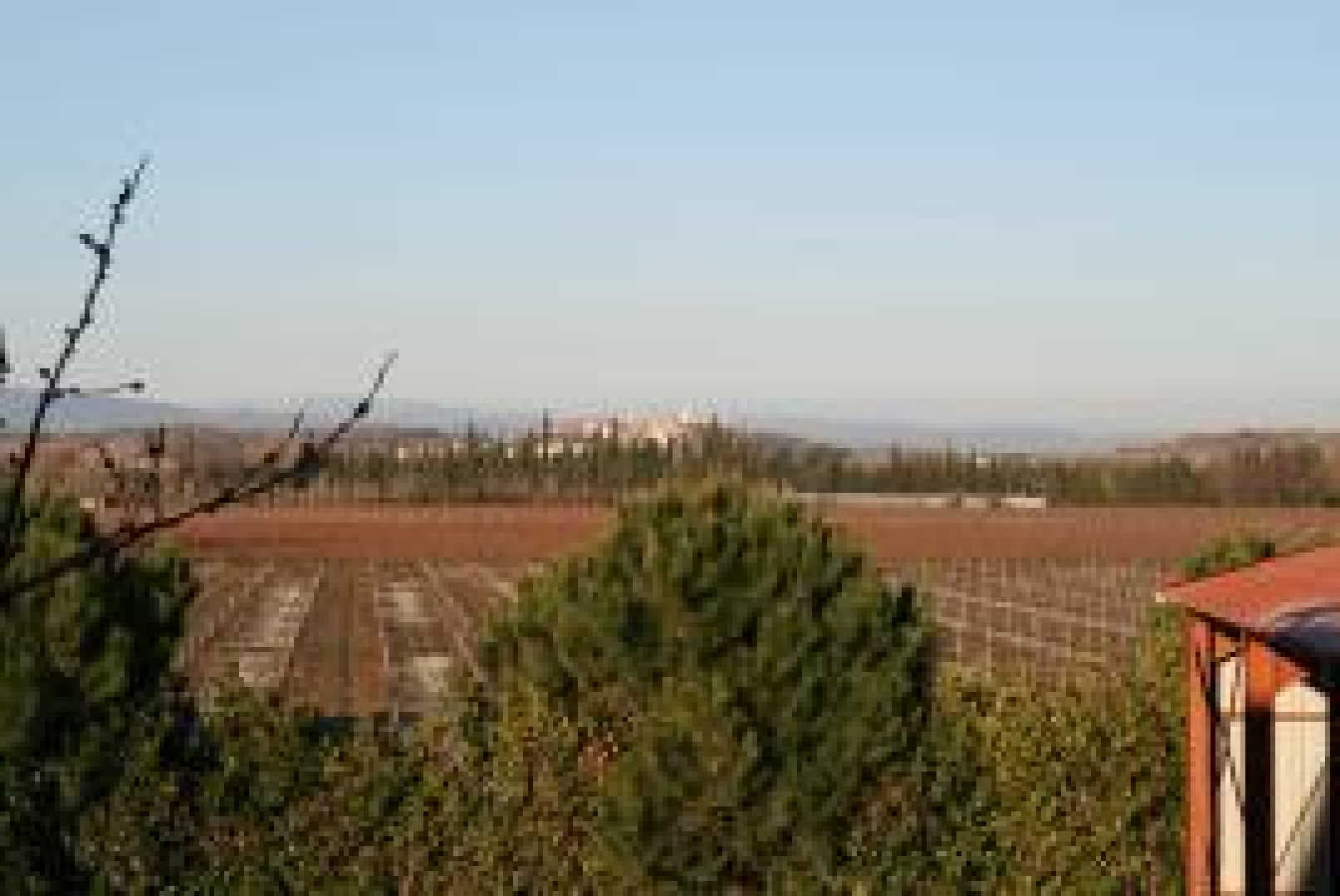 Domaine Bisconte_21