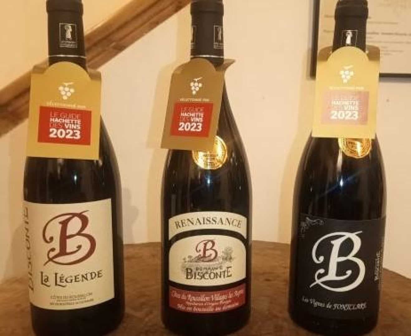 Domaine Bisconte_6
