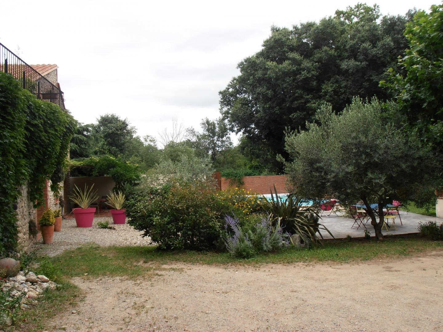 Le micocoulier_13
