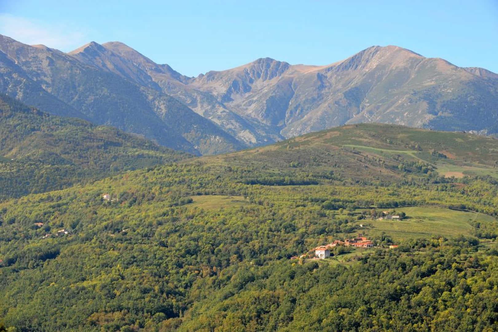 Le gîte du vieux mas_18