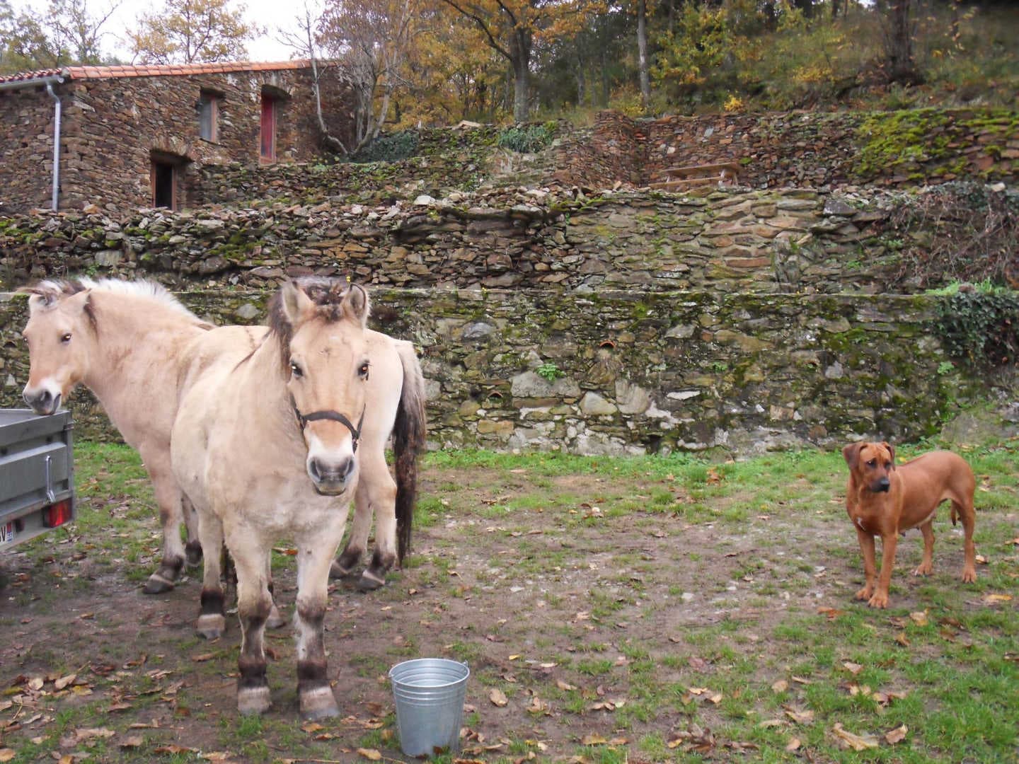Le gîte du vieux mas_19