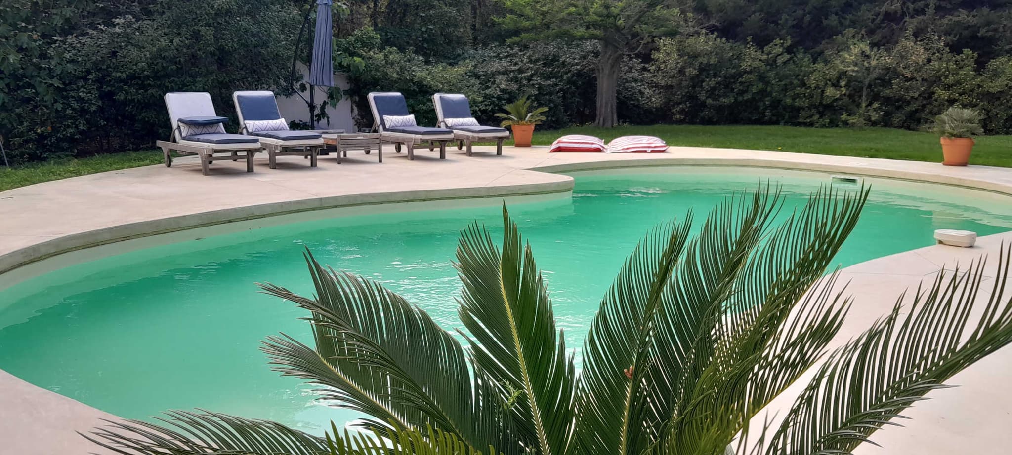 Villa Eucalyptus_9