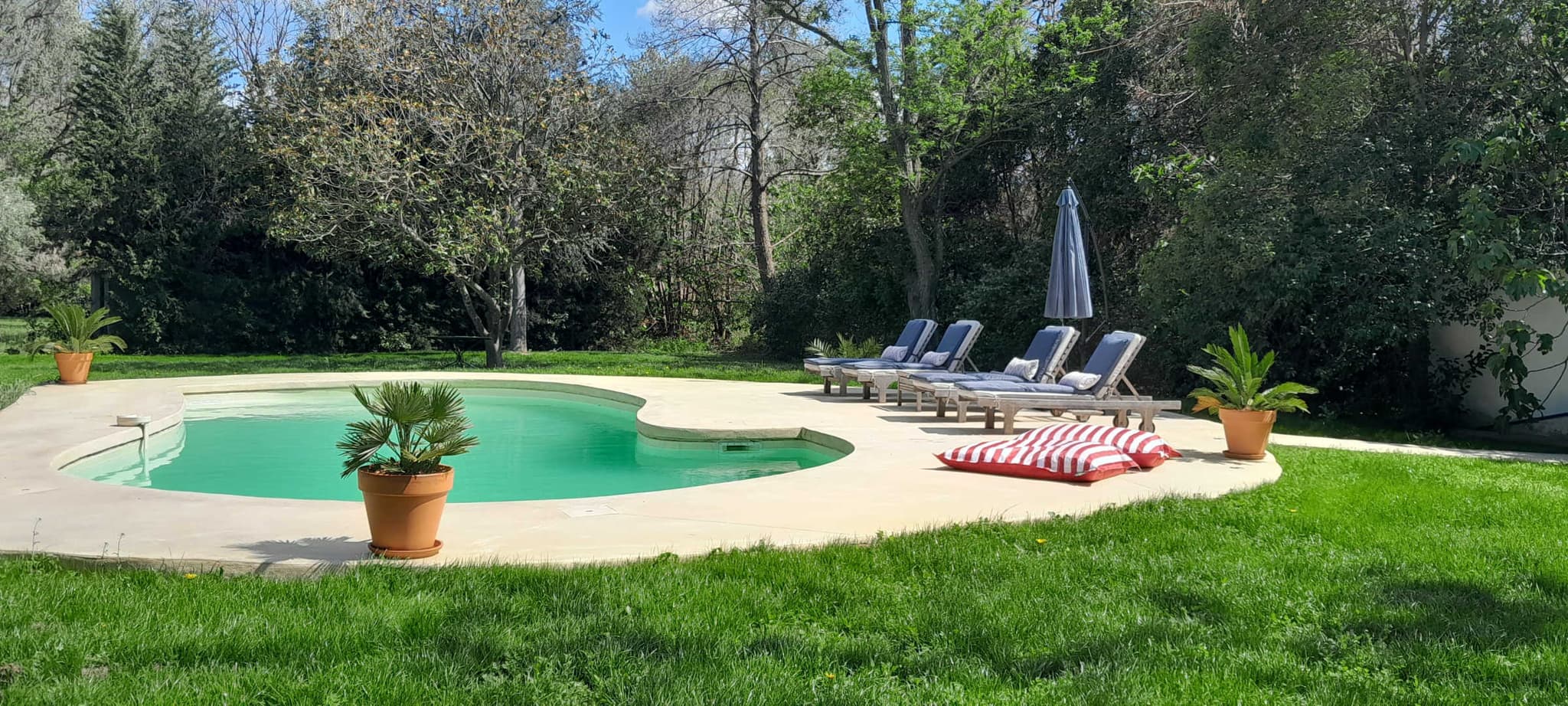 Villa Eucalyptus_8