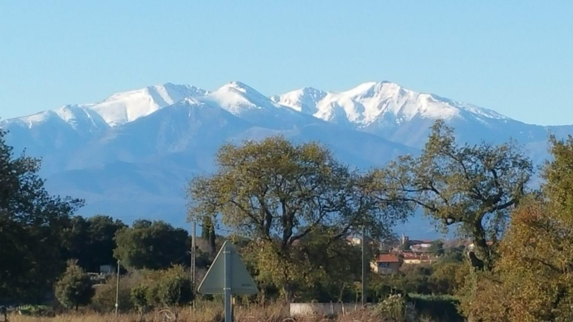 Le micocoulier_30