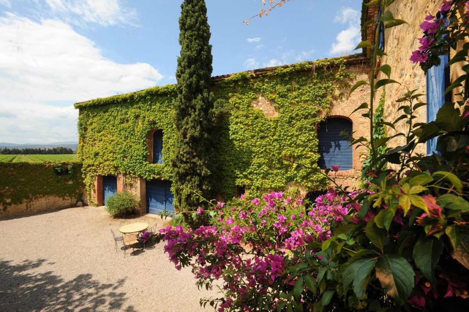 Bougainvillee_12