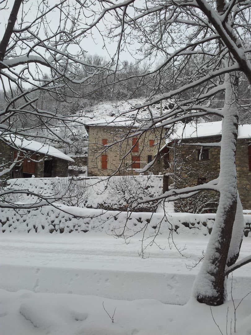 Gîte de Fleury_10