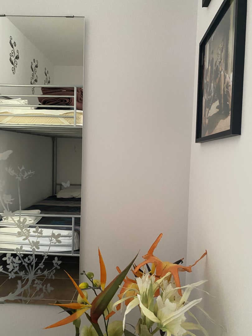 Maison d'Hôtes L'olivette des Albères_15