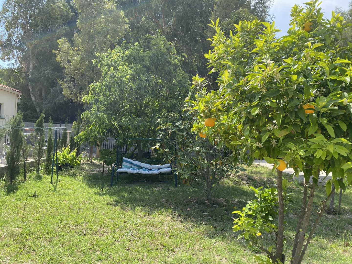 Maison d'Hôtes L'olivette des Albères_34