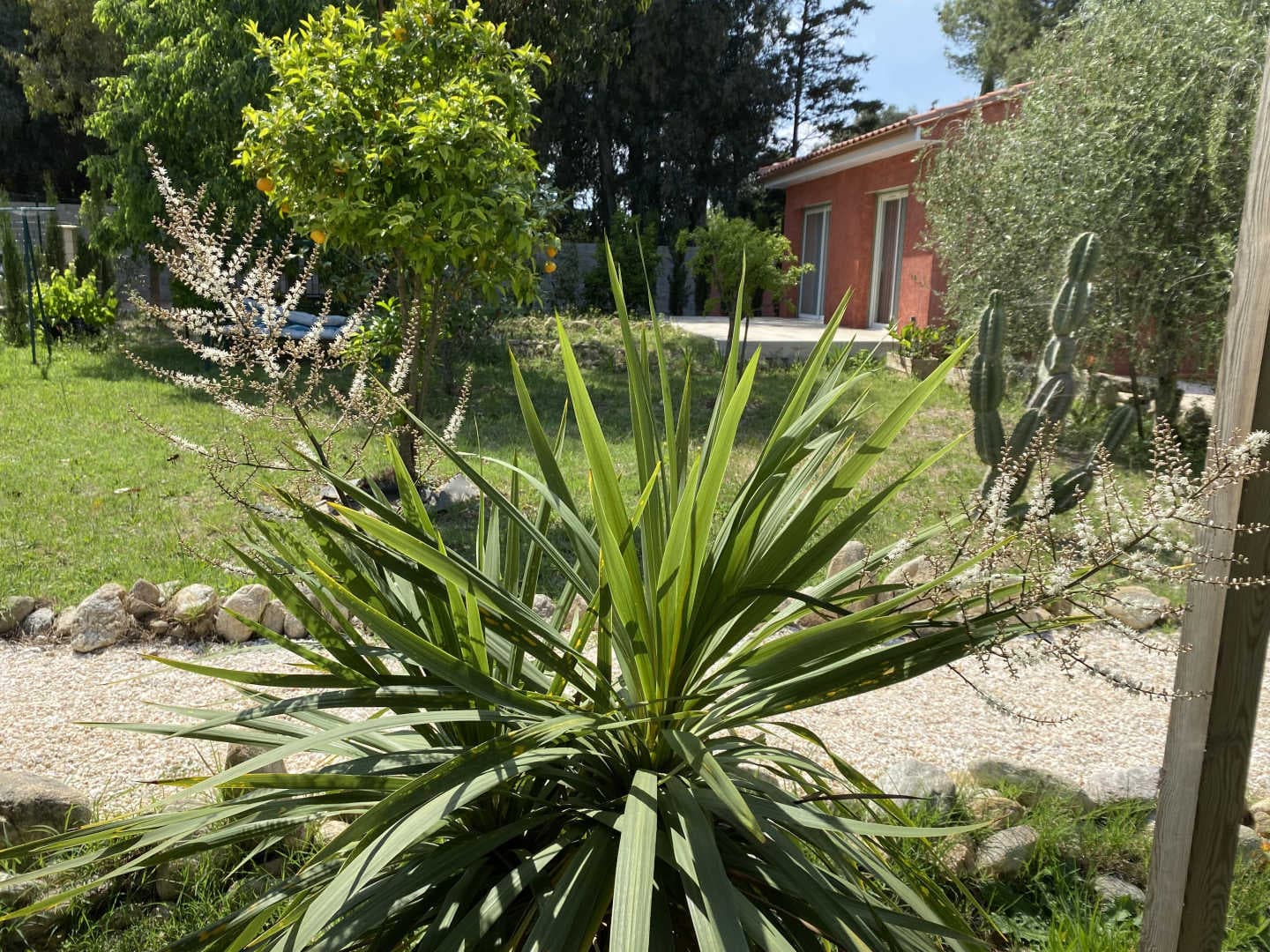 Maison d'Hôtes L'olivette des Albères_30