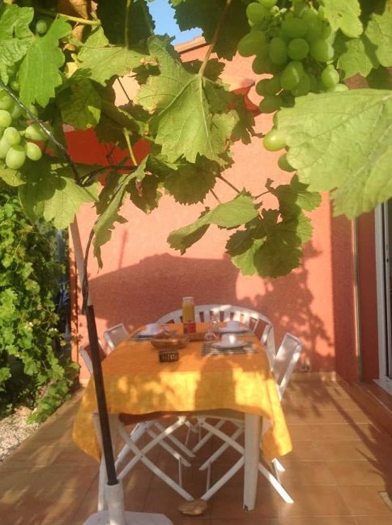 Maison d'Hôtes L'olivette des Albères_29