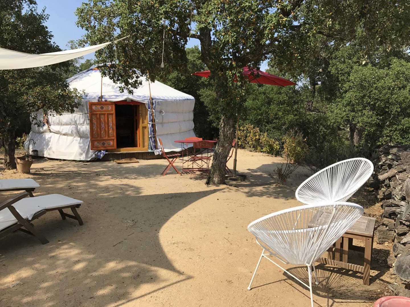 Au soleil mongol_5