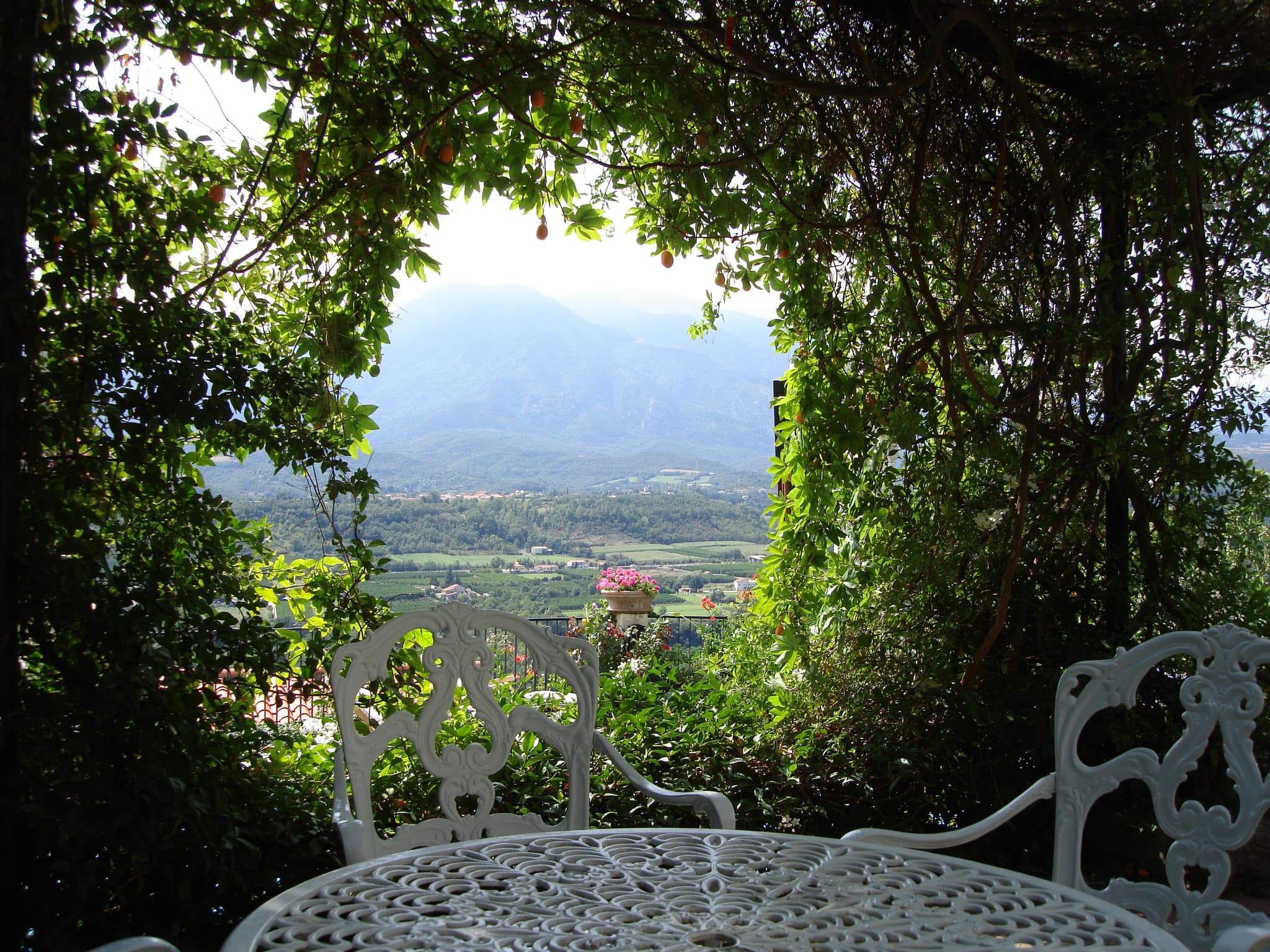 Terrasse