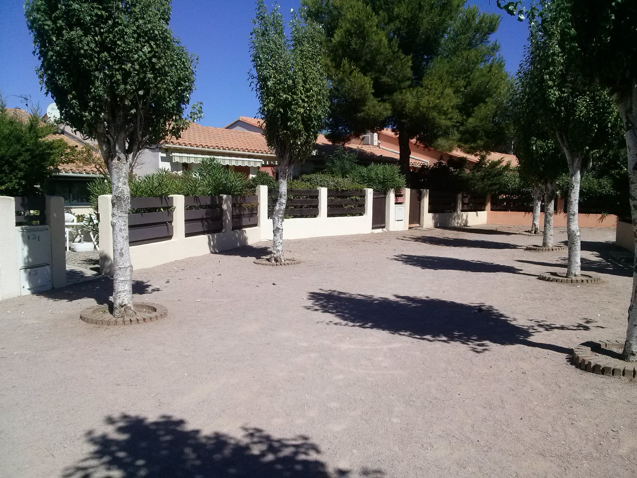 CAM03781