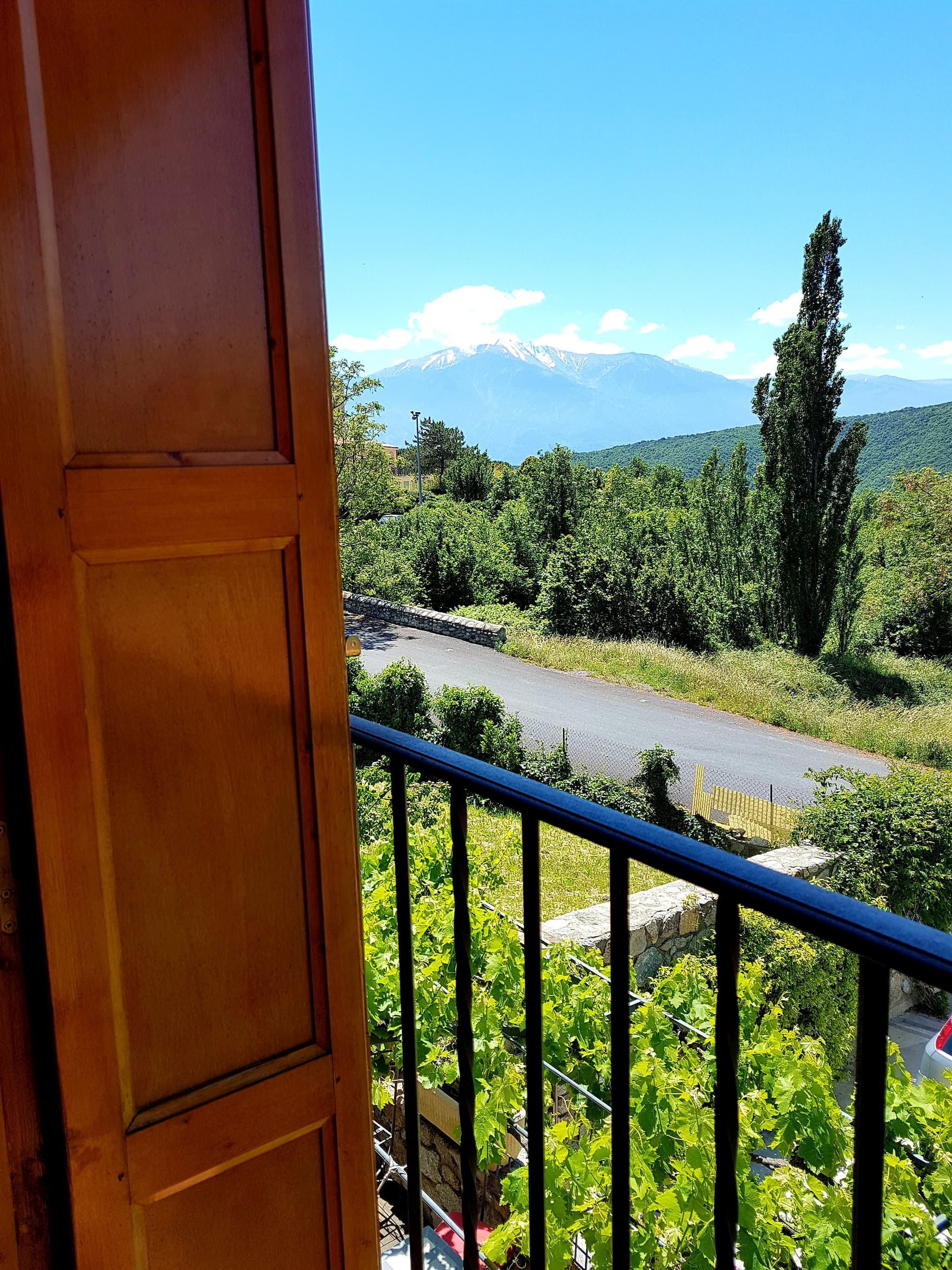 Vue sur le Canigó