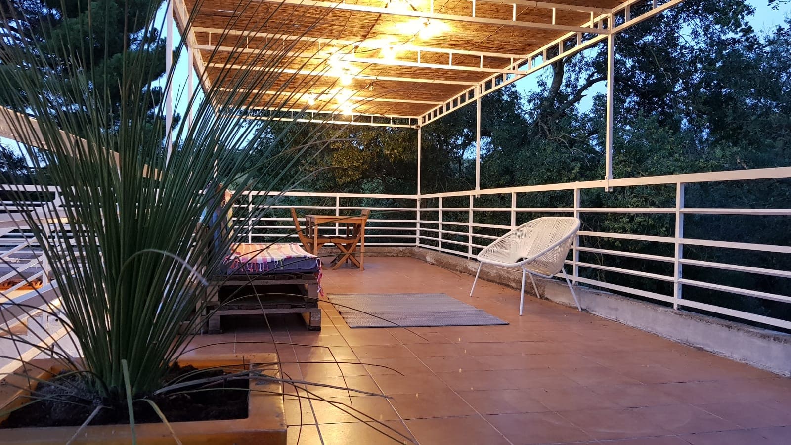DELBACH2 terrasse nuit2