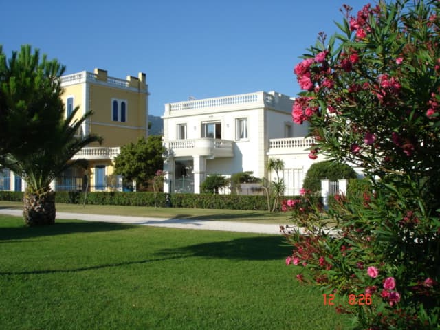 DSC01147