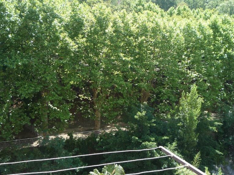DAVIAUD
