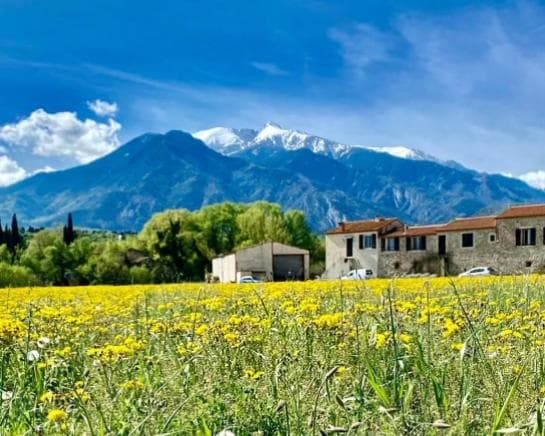 Gîte avec le Canigó en fond