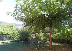 HLOLAR0660000646_2