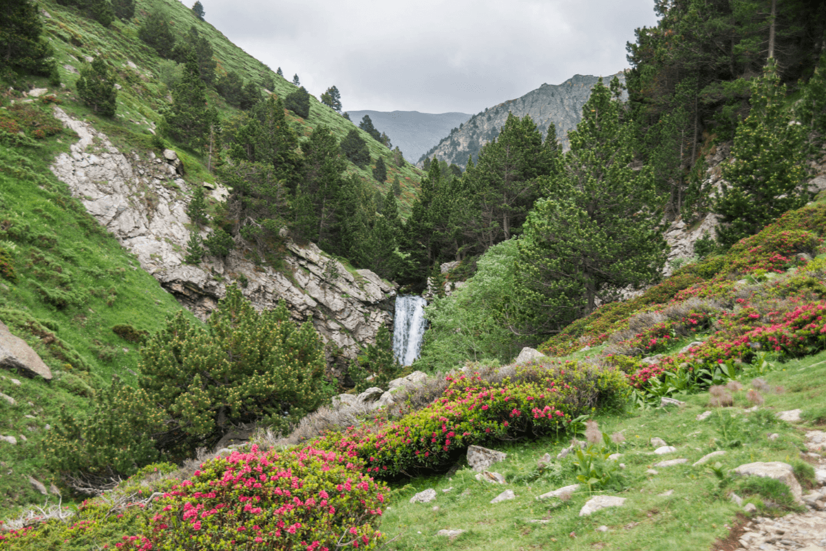 PAYSAGE