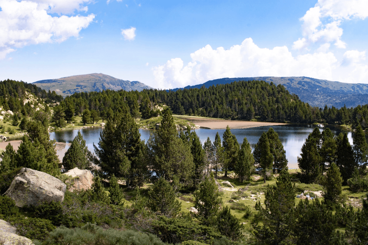 LAC