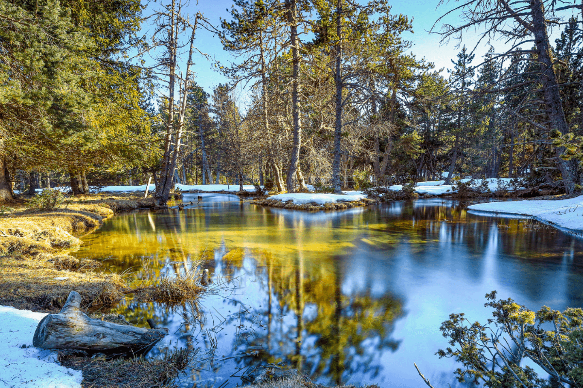 PAYSAGE
