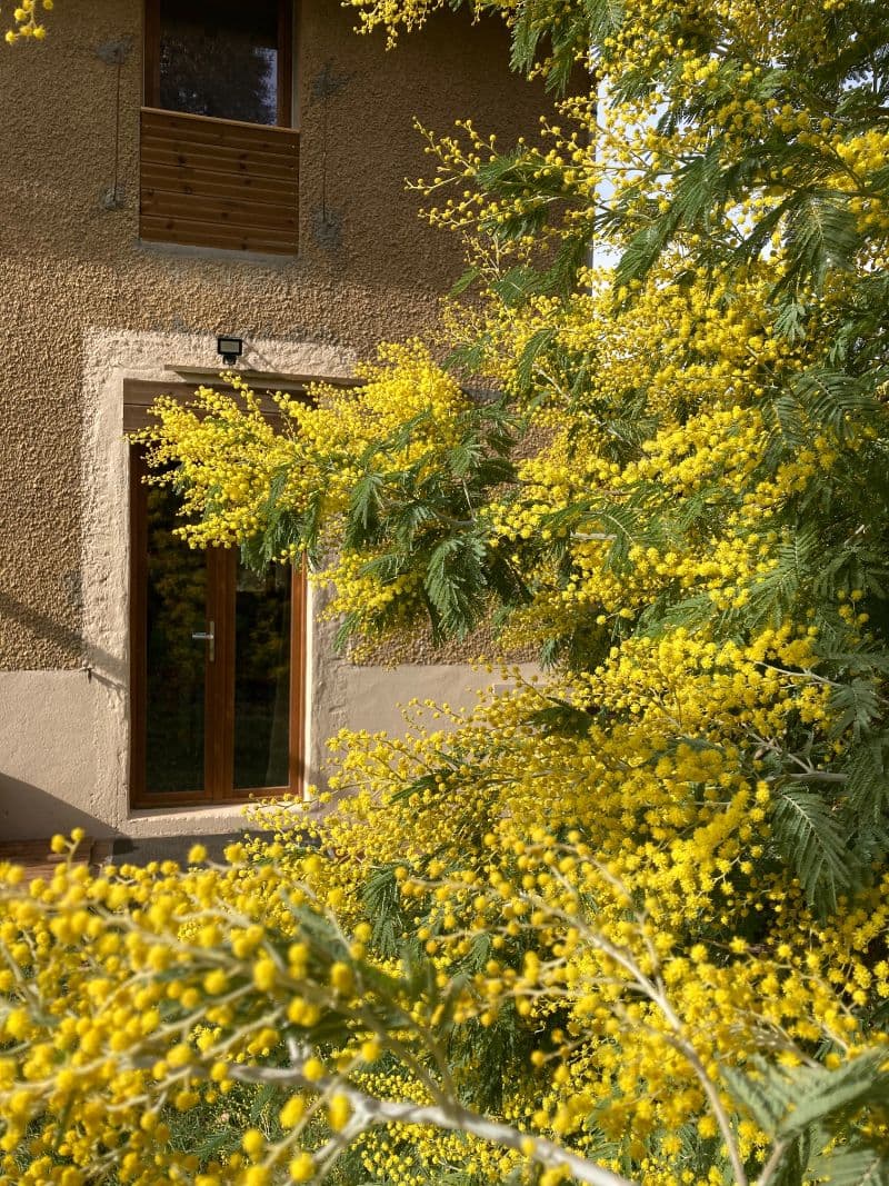 Vue extérieure